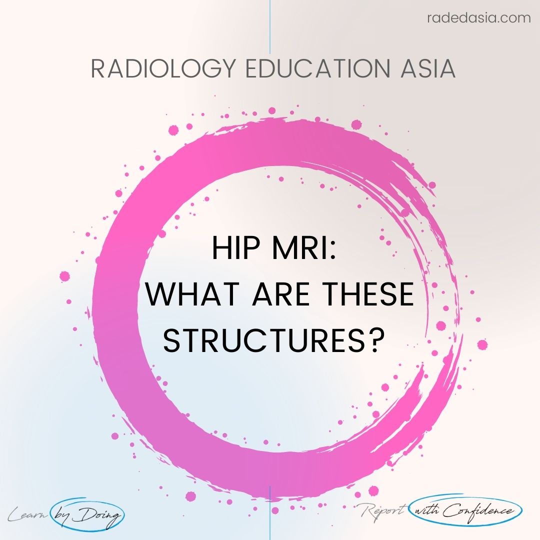 learn radiology hip mri structures radedasia